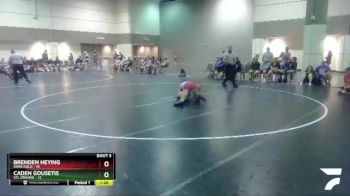 160 lbs Round 1 (6 Team) - Brenden Heying, Iowa Gold vs Caden Gousetis, STL Orange