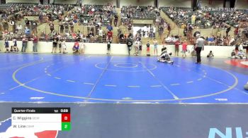 100 lbs Quarterfinal - Colton Wiggins, Georgia vs Wyatt Line, Compound Wrestling