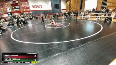 100 lbs Quarterfinal - Taylor Freeman, Lander Valley vs Hailee Cooper, Riverton