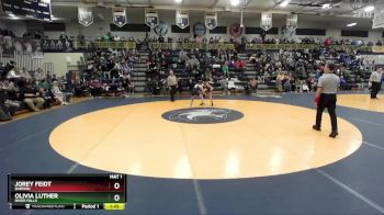 107 lbs Semifinal - Jorey Feidt, Barron vs Olivia Luther, River Falls