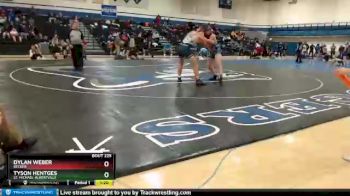 195 lbs Quarterfinal - Tyson Hentges, St. Michael-Albertville vs Dylan Weber, Becker