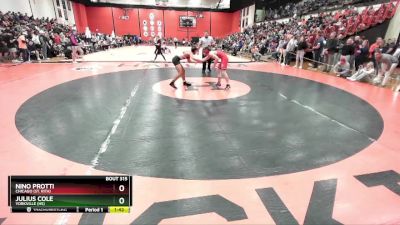 138 lbs Champ. Round 2 - Julius Cole, YORKVILLE (HS) vs Nino Protti, Chicago (ST. RITA)