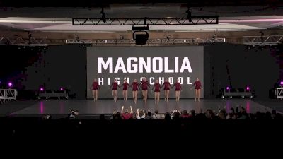 Magnolia High School Texas Star Dance Team [2020 Small Varsity