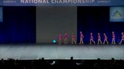 Dance Dynamics Mini Pink Large Jazz [2019 Large Mini Jazz Finals] 2019 The Summit