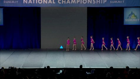 Dance Dynamics Mini Pink Large Jazz [2019 Large Mini Jazz Finals] 2019 The Summit