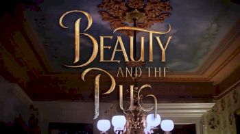 Beauty and the Pug 1