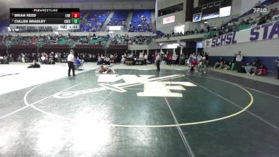 150 lbs Final - Brian Reed, Liberty vs Cullen Bradley, Chesnee
