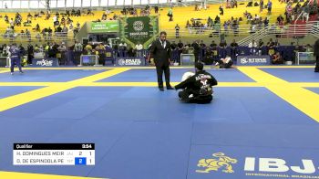 HENRIQUE DOMINGUES MEIRELES vs DOUGLAS DE ESPINDOLA PEREIRA 2024 Brasileiro Jiu-Jitsu IBJJF