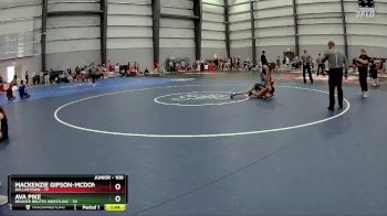 100 lbs Round 3 - Mackenzie Gipson-Mcdonald, Dallastown vs Ava Pike, Braided Brutes Wrestling