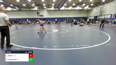 157 lbs Quarterfinal - Luke Swan, Wisconsin-Whitewater vs Nate Camiscioli, Castleton