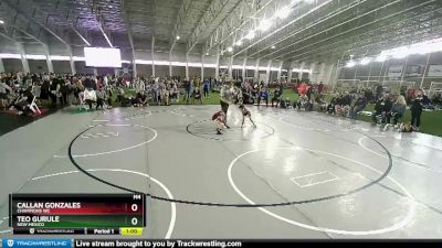 49 lbs Quarterfinal - Teo Gurule, New Mexico vs Callan Gonzales, Champions WC