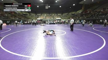 177 lbs 3rd Place - Patrick Roberts, Buchanan vs Jackson Cinfel, Clovis North
