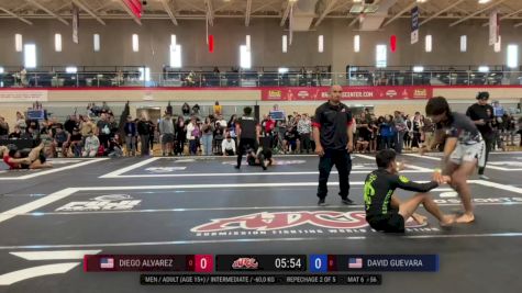 Diego Alvarez vs David Guevara 2024 ADCC Austin Open