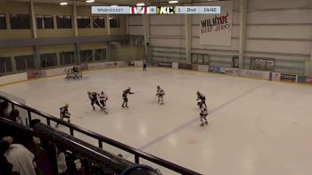 Replay: Home - 2025 Calgary Bisons vs KC Squires | Jan 31 @ 12 PM