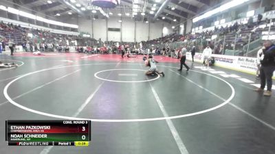 131 lbs Cons. Round 3 - Ethan Pazkowski, Chambersburg Area Hs vs Noah Schneider, Haverling, NY