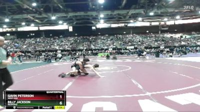 132 lbs Quarterfinal - Gavin Peterson, West Side vs Billy Jackson, Redmond