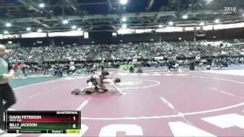 132 lbs Quarterfinal - Gavin Peterson, West Side vs Billy Jackson, Redmond
