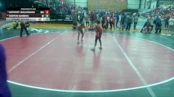 133 lbs Champ. Round 1 - Anthony Maldonado, Missouri Valley vs Ashton Gamboa, Quincy