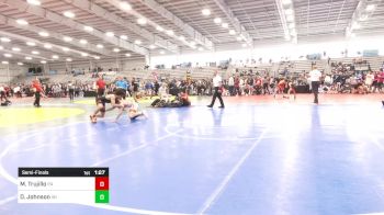 138 lbs Semifinal - Michael Trujillo, PA vs Dawson Johnson, WI