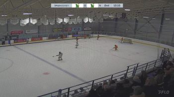 Replay: Home - 2024 CNHA Green U13 vs CNHA Gold U13 | Nov 9 @ 2 PM