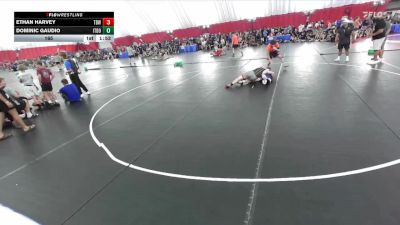 165 lbs Quarters & Wb (16 Team) - Ethan Harvey, Thunderbirds WC vs Dominic Gaudio, Illinois Top Dawgs Orange