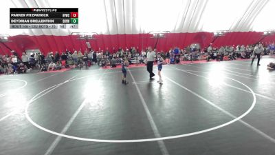12U Boys - 70 lbs Cons. Round 3 - Deydrian Brellenthin, Delavan-Darien Youth Wrestling Club vs Parker Fitzpatrick, Holmen Viking Wrestling Club