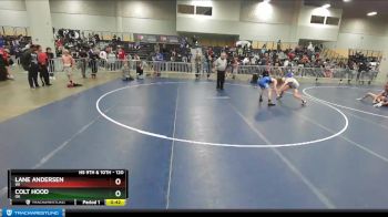 120 lbs Cons. Round 4 - Colt Hood, OK vs Lane Andersen, WI