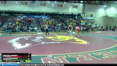 165 lbs Quarterfinal - Anthony Herrera, St. Cloud State vs Chase Bloomquist, Northern State