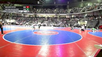 132-6A 3rd Place Match - Peyton Nicholson, Etowah vs Michael Rytov, Denmark