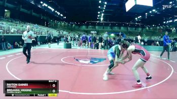 100 lbs Quarterfinal - Payton Gaines, Crestview vs Breanna Higgins, Camden County