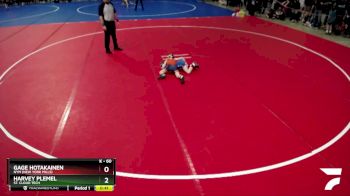 60 lbs Champ. Round 1 - Harvey Plemel, St. Cloud Tech vs Gage Hotakainen, NYM (New York Mills)