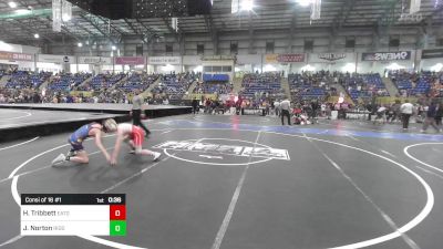 120 lbs Consi Of 16 #1 - Hudson Tribbett, Eaton vs Julian Norton, Ridge WC