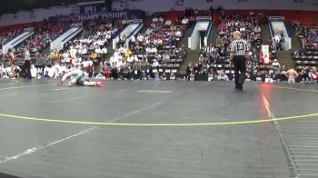 132 lbs Quarterfinals (8 Team) - Haylen Buell, Martin/Climax Scott HS vs Dalton Birchmeier, New Lothrop HS
