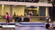 Aspen Sparks - Women's Group, Cedar Valley Gymnastics - 2021 Women's Xcel Region 4 Championships