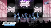 The Vision Dance Center - Mini Jazz [2024 Mini - Jazz - Small 2] 2024 JAMfest Dance Super Nationals