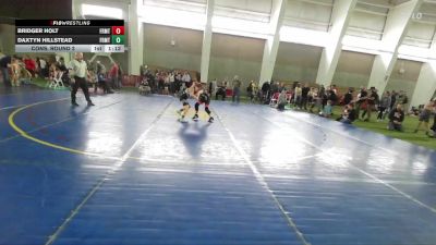82 lbs Cons. Round 2 - Bridger Holt, Enterprise Wrestling vs Daxtyn Hillstead, Total Domination Wrestling Club