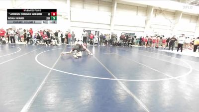 126 lbs Champ. Round 2 - Atreus Cougar Wilson, American Fork vs Noah Ward, Logan