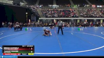 110 lbs Quarterfinal - Briggs Hammerly, Moen Wrestling Academy vs Thomas Vanasek, New Prague