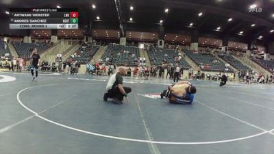 157 lbs Cons. Round 3 - Antwane Webster, Lindsey Wilson (Ky.) vs Andres Sanchez, New College Of Florida