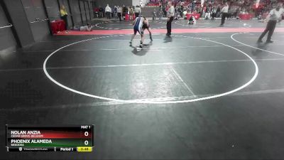 140 lbs Quarterfinal - Phoenix Alameda, Nekoosa vs Nolan Anzia, Cedar Grove-Belgium