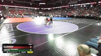 D1-285 lbs Cons. Round 1 - Lincoln McCarty, River Falls vs CJ Johnson, Waukesha South