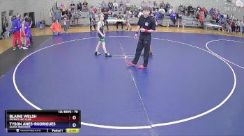 78 lbs Quarterfinal - Blaine Welsh, Patriot Mat Club vs Tyson Anes-Rodrigues, Aloha Warriors