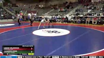 4A 113 lbs Semifinal - Dominic Alavardo, Berryville vs Hunter Chatelain, Bauxite