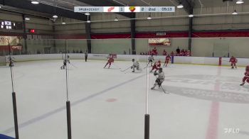 Replay: Home - 2024 TO Red Wings U16 vs Sun County U16 | Nov 29 @ 2 PM