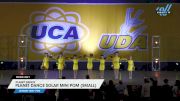 Planet Dance - Planet Dance Solar Mini Pom (small) [2024 Mini - Pom Day 1] 2024 UCA/UDA Bluegrass Regional