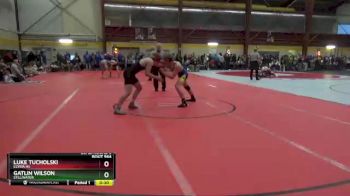 175 lbs Cons. Round 3 - Gatlin Wilson, Stillwater vs Luke Tucholski, Elyria HS