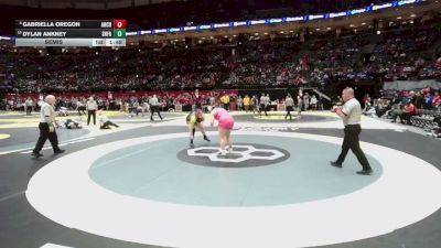 235 lbs Semis - Gabriella Oregon, Archbold vs Dylan Ankney, Sher. Fairview