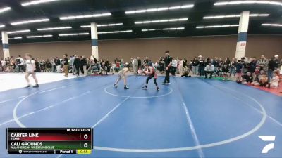 77-79 lbs Round 2 - Cali Grounds, All American Wrestling Club vs Carter Link, Texas