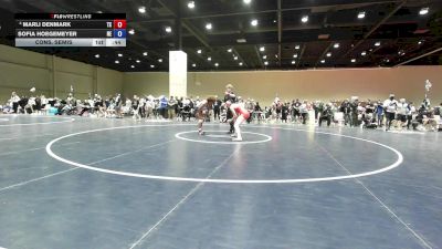 140 lbs Cons. Semis - Carli Antonelli, OK vs Teyanna Fields, OK