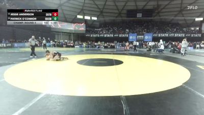 Boys 3A 165 lbs Champ. Round 2 - Jesse Anderson, Central Kitsap vs Patrick O`Connor, Roosevelt
